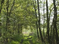 NL, Noord-Brabant, Baarle-Nassau, De Manke Goren 36, Saxifraga-Willem van Kruijsbergen