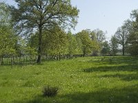 NL, Noord-Brabant, Baarle-Nassau, De Manke Goren 37, Saxifraga-Willem van Kruijsbergen