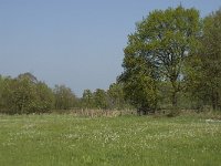 NL, Noord-Brabant, Baarle-Nassau, De Manke Goren 40, Saxifraga-Willem van Kruijsbergen