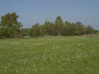 NL, Noord-Brabant, Baarle-Nassau, De Manke Goren 45, Saxifraga-Willem van Kruijsbergen