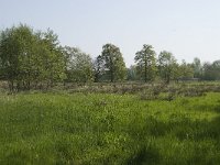 NL, Noord-Brabant, Baarle-Nassau, De Manke Goren 53, Saxifraga-Willem van Kruijsbergen