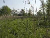 NL, Noord-Brabant, Baarle-Nassau, De Manke Goren 55, Saxifraga-Willem van Kruijsbergen