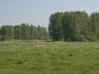 NL, Noord-Brabant, Baarle-Nassau, De Manke Goren 60, Saxifraga-Willem van Kruijsbergen