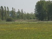 NL, Noord-Brabant, Baarle-Nassau, De Manke Goren 61, Saxifraga-Willem van Kruijsbergen