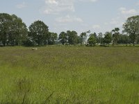 NL, Noord-Brabant, Baarle-Nassau, De Manke Goren 86, Saxifraga-Willem van Kruijsbergen