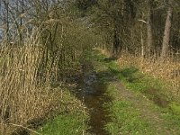 NL, Noord-Brabant, Baarle-Nassau, Halsche Beemden 105, Saxifraga-Willem van Kruijsbergen