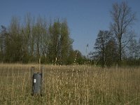 NL, Noord-Brabant, Baarle-Nassau, Halsche Beemden 110, Saxifraga-Willem van Kruijsbergen