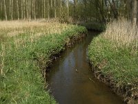 NL, Noord-Brabant, Baarle-Nassau, Halsche Beemden 112, Saxifraga-Willem van Kruijsbergen