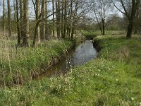 NL, Noord-Brabant, Baarle-Nassau, Halsche Beemden 12, Saxifraga-Jan van der Straaten