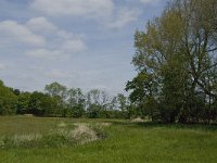 NL, Noord-Brabant, Baarle-Nassau, Halsche Beemden 126, Saxifraga-Jan van der Straaten