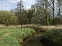 NL, Noord-Brabant, Baarle-Nassau, Halsche Beemden 14, Saxifraga-Jan van der Straaten