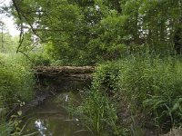 NL, Noord-Brabant, Baarle-Nassau, Halsche Beemden 148, Saxifraga-Willem van Kruijsbergen