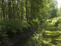 NL, Noord-Brabant, Baarle-Nassau, Halsche Beemden 149, Saxifraga-Willem van Kruijsbergen