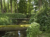 NL, Noord-Brabant, Baarle-Nassau, Halsche Beemden 160, Saxifraga-Willem van Kruijsbergen