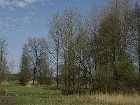 NL, Noord-Brabant, Baarle-Nassau, Halsche Beemden 2, Saxifraga-Jan van der Straaten