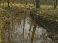 NL, Noord-Brabant, Baarle-Nassau, Halsche Beemden 200, Saxifraga-Marijke Verhagen