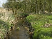 NL, Noord-Brabant, Baarle-Nassau, Halsche Beemden 29, Saxifraga-Jan van der Straaten