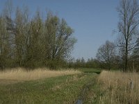 NL, Noord-Brabant, Baarle-Nassau, Halsche Beemden 5, Saxifraga-Jan van der Straaten