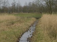 NL, Noord-Brabant, Baarle-Nassau, Halsche Beemden 73, Saxifraga-Willem van Kruijsbergen