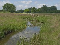 NL, Noord-Brabant, Baarle-Nassau, Hoekbeemden 11, Saxifraga-Jan van der Straaten