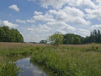 NL, Noord-Brabant, Baarle-Nassau, Hoekbeemden 7, Saxifraga-Jan van der Straaten