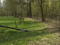 NL, Noord-Brabant, Baarle-Nassau, Kromme Hoek 1, Saxifraga-Jan van der Straaten