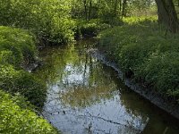 NL, Noord-Brabant, Baarle-Nassau, Kromme Hoek 31, Saxifraga-Jan van der Straaten