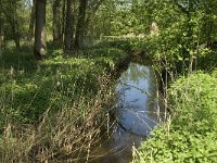 NL, Noord-Brabant, Baarle-Nassau, Kromme Hoek 35, Saxifraga-Jan van der Straaten