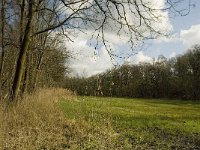 NL, Noord-Brabant, Baarle-Nassau, Kromme Hoek 37, Saxifraga-Jan van der Straaten