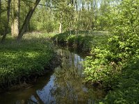 NL, Noord-Brabant, Baarle-Nassau, Kromme Hoek 45, Saxifraga-Willem van Kruijsbergen,