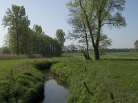 NL, Noord-Brabant, Baarle-Nassau, Kromme Hoek 51, Saxifraga-Willem van Kruijsbergen,