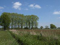 NL, Noord-Brabant, Baarle-Nassau, Raijkens Schoor 5, Saxifraga-Jan van der Straaten