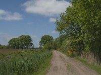 NL, Noord-Brabant, Baarle-Nassau, Raijkens Schoor 6, Saxifraga-Jan van der Straaten