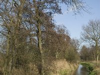 NL, Noord-Brabant, Bergeijk, Beekloop 9, Saxifraga-Marijke Verhagen