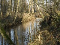 NL, Noord-Brabant, Bergeijk, De Beeken, Beekloop 3, Saxifraga-Jan van der Straaten