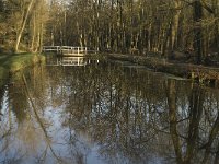 NL, Noord-Brabant, Bergeijk, De Beeken, Het Schut 2, Saxifraga-Jan van der Straaten