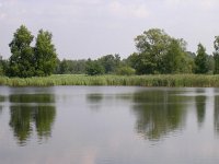 NL, Noord-Brabant, Bergeijk, De Maaij 1, Saxifraga-Henk Sierdsema