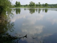 NL, Noord-Brabant, Bergeijk, De Maaij 2, Saxifraga-Henk Sierdsema