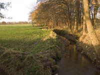 NL, Noord-Brabant, Bergeijk, Elzenloopje 1, Saxifraga-Jan van der Straaten