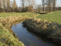 NL, Noord-Brabant, Bergeijk, Heijerdijk, Keersopbeemden 2, Saxifraga-Jan van der Straaten