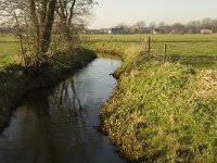 NL, Noord-Brabant, Bergeijk, Heijerdijk, Keersopbeemden 8, Saxifraga-Jan van der Straaten