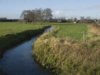 NL, Noord-Brabant, Bergeijk, Hoeker Beemden 1, Saxifraga-Jan van der Straaten