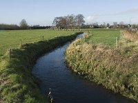 NL, Noord-Brabant, Bergeijk, Hoeker Beemden 2, Saxifraga-Jan van der Straaten