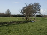 NL, Noord-Brabant, Bergeijk, Hoeker Beemden 4, Saxifraga-Jan van der Straaten