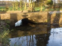 NL, Noord-Brabant, Bergeijk, Keunensloop 1, Saxifraga-Jan van der Straaten