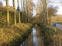 NL, Noord-Brabant, Bergeijk, Keunensloop 2, Saxifraga-Jan van der Straaten