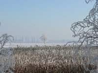 NL, Noord-Brabant, Bergeijk, Maaijerheide 2, Saxifraga-Tom Heijnen