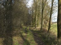 NL, Noord-Brabant, Bergeijk, Pastoorsweijer 13, Saxifraga-Jan van der Straaten