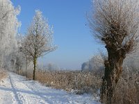 NL, Noord-Brabant, Bergeijk, Visvijvers Bergeijk (Liskes) 2, Saxifraga-Tom Heijnen