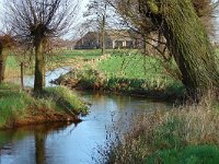 NL, Noord-Brabant, Bergeijk, Vlieterdijk 1, Saxifraga-Tom Heijnen